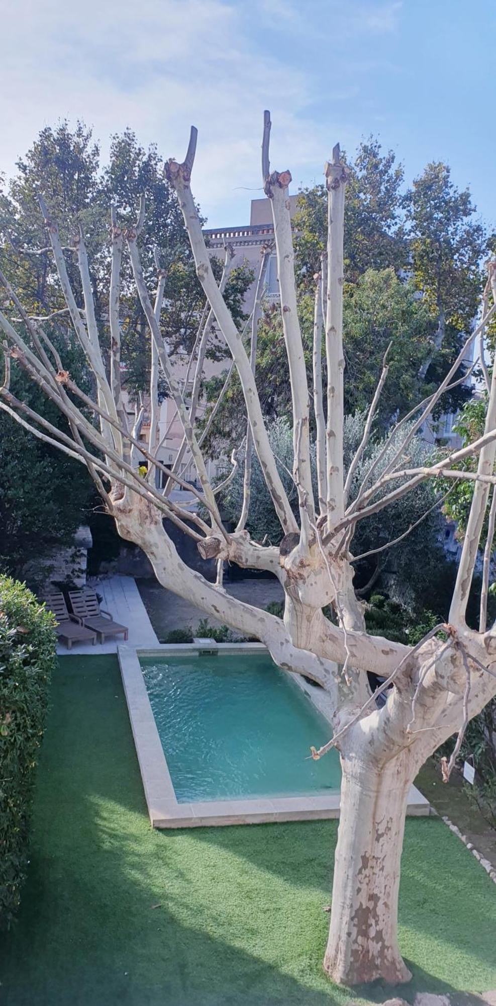 מרסיי Maison D'Hotes La Bastide De Patou, Suite De 2 A 6 Personnes מראה חיצוני תמונה
